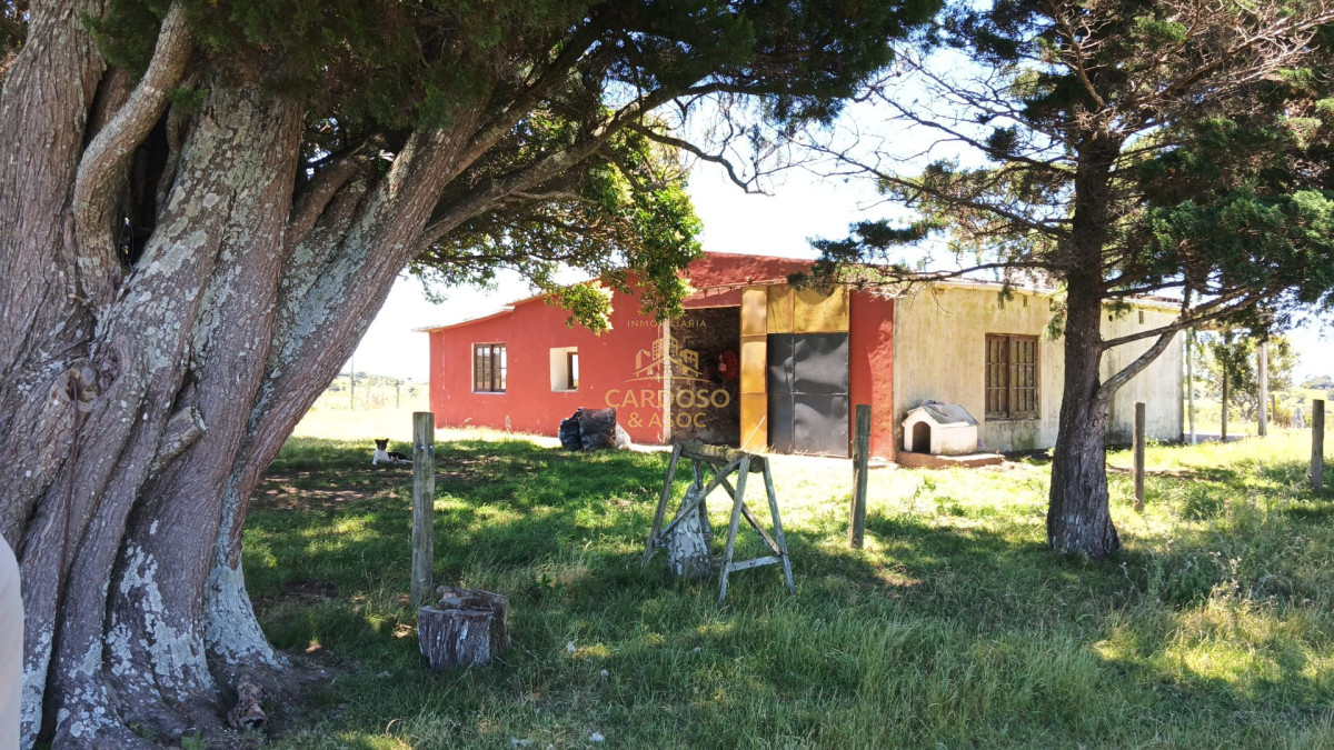 Chacra ID.35 - Se Vende Chacra 5 has en Sierra Carape.