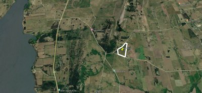 Se vende Chacra de 10,5 has en Laguna del Sauce.