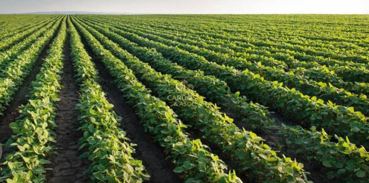 Campo Ref.147 - Campo agrícola ganadero 2300 has Durazno