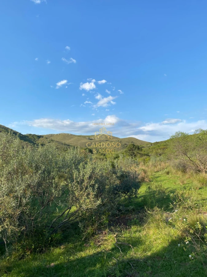 Campo Ref.93 - Se vende Campo Criador Turístico en Quebrada de los Cuervos. 