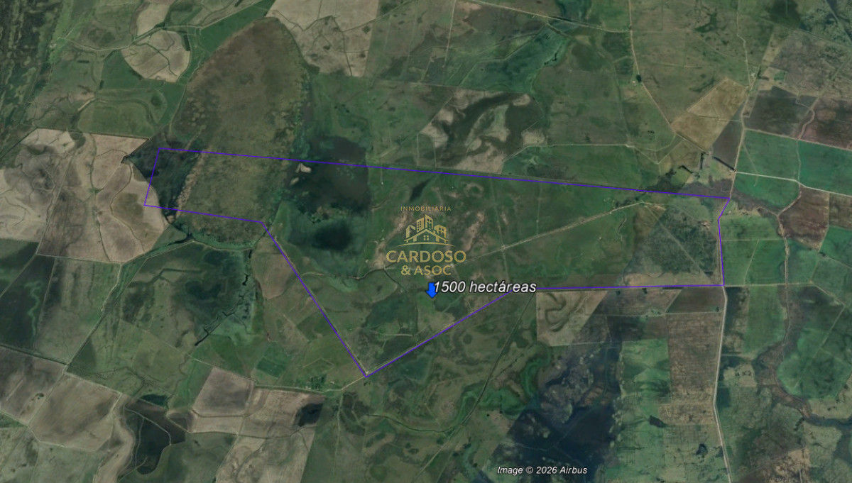 Campo Ref.34 -  Campo Agrícola-Ganadero 1508 has en Rocha en venta 