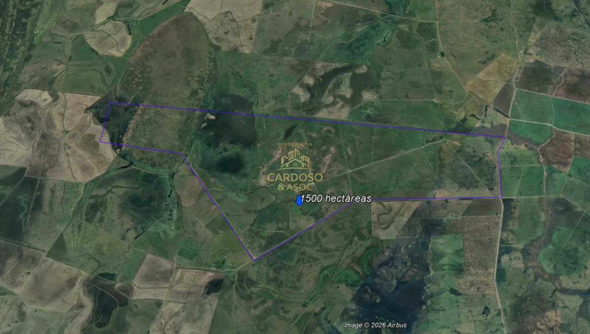 Campo Ref.34 -  Campo Agrícola-Ganadero 1508 has en Rocha en venta 
