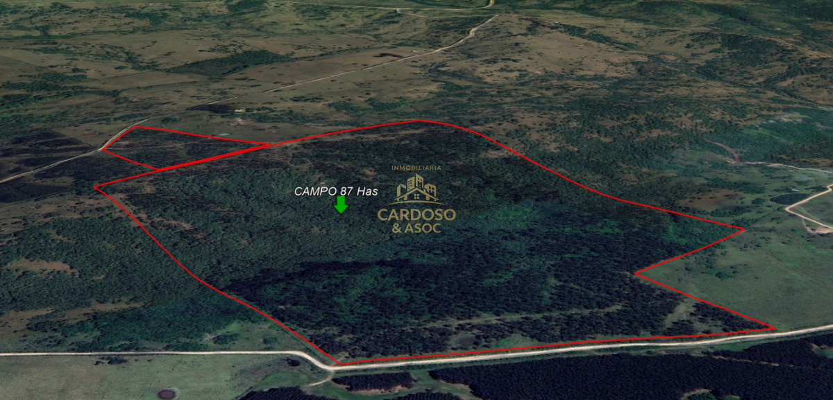 Campo Ref.183 - OPORTUNIDAD EN AIGUÁ 3100usd por hectárea.
