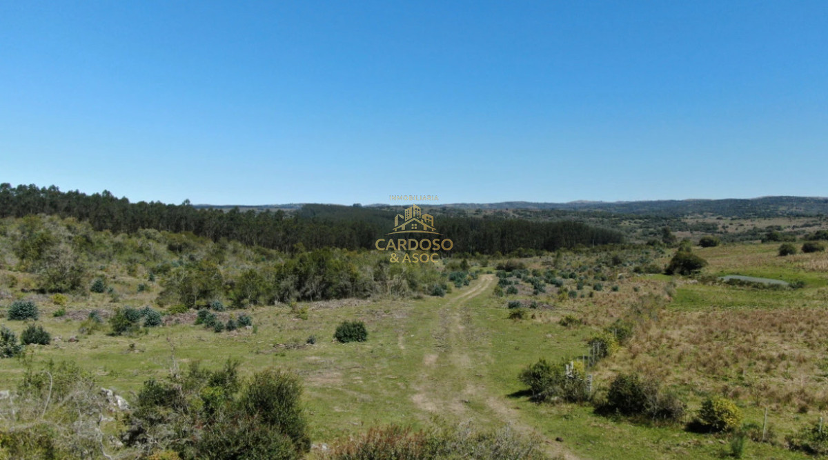 Campo Ref.183 - OPORTUNIDAD EN AIGUÁ 3100usd por hectárea.
