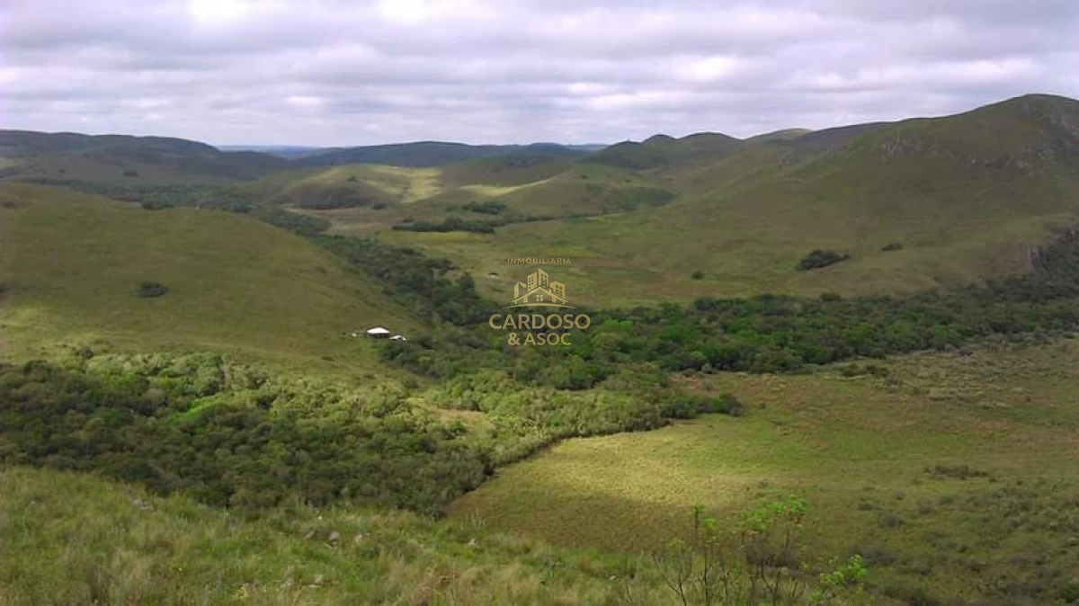 Campo Ref.93 - Se vende Campo Criador Turístico en Quebrada de los Cuervos. 
