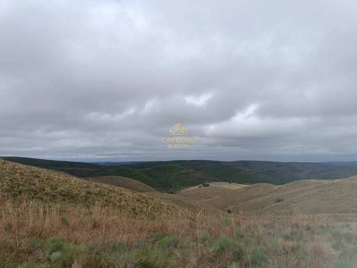 Campo Ref.93 - Se vende Campo Criador Turístico en Quebrada de los Cuervos. 