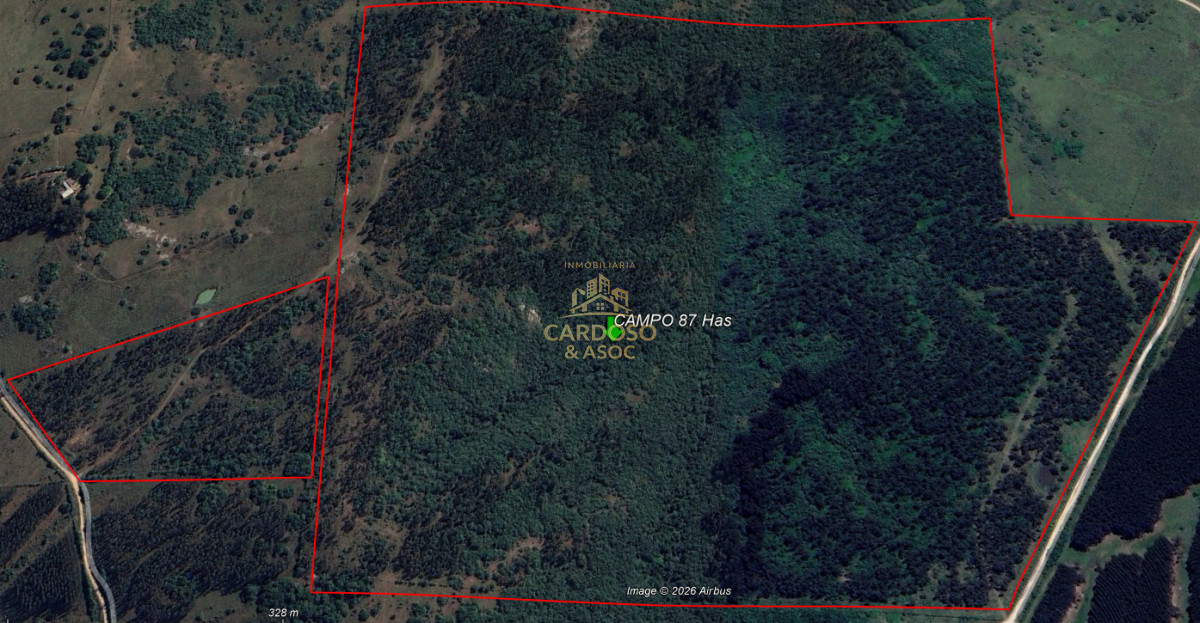 Campo Ref.183 - OPORTUNIDAD EN AIGUÁ 3100usd por hectárea.