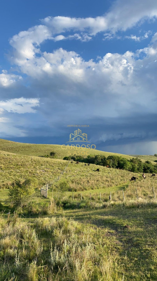 Campo Ref.93 - Se vende Campo Criador Turístico en Quebrada de los Cuervos. 
