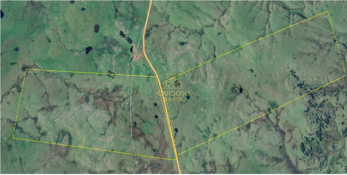 Campo Ref.136 - Campo Ganadero 420 Hectáreas - Treinta y Tres 