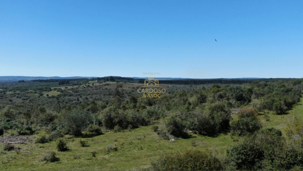 Campo Ref.183 - OPORTUNIDAD EN AIGUÁ 3100usd por hectárea.