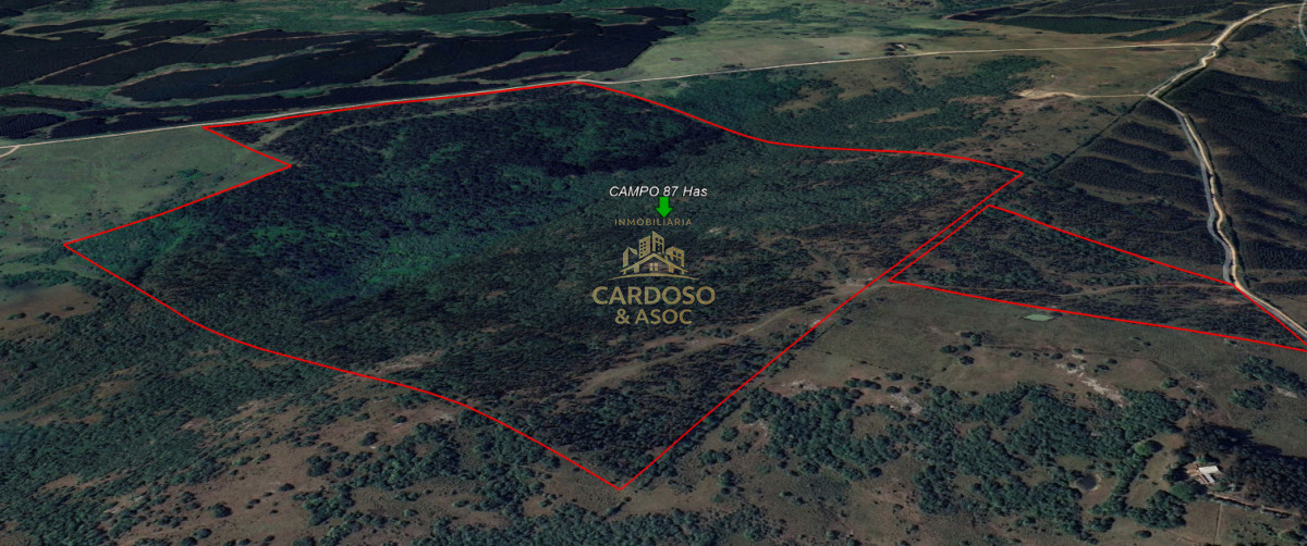 Campo Ref.183 - OPORTUNIDAD EN AIGUÁ 3100usd por hectárea.