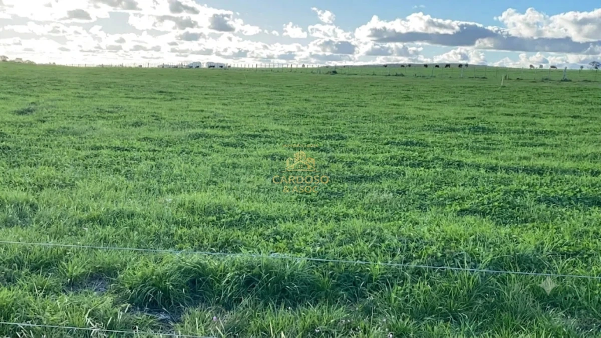 Campo Ref.148 - Campo agrícola ganadero 1000 hectáreas 