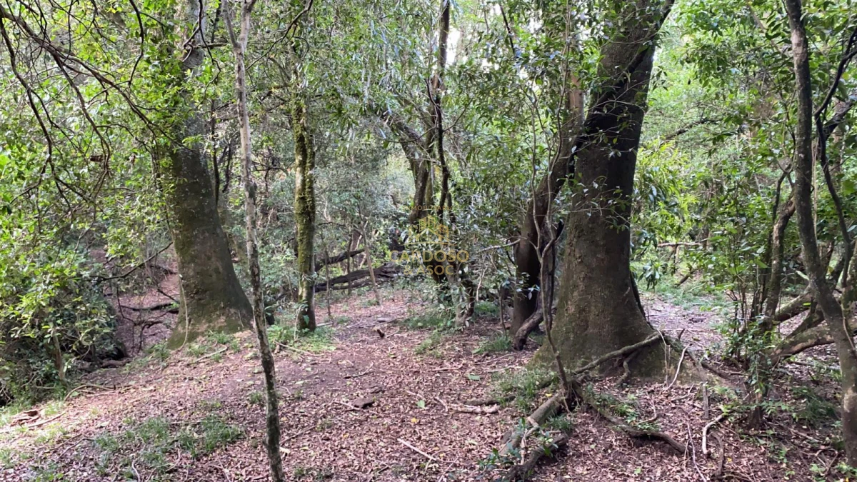 Campo Ref.93 - Se vende Campo Criador Turístico en Quebrada de los Cuervos. 