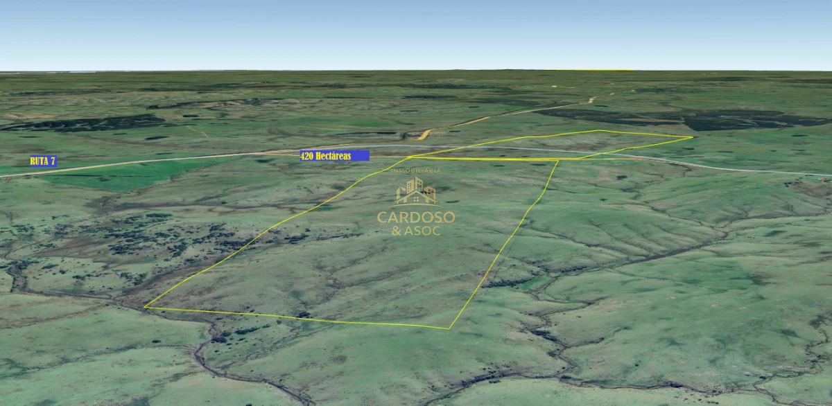 Campo Ref.136 - Campo Ganadero 420 Hectáreas - Treinta y Tres 