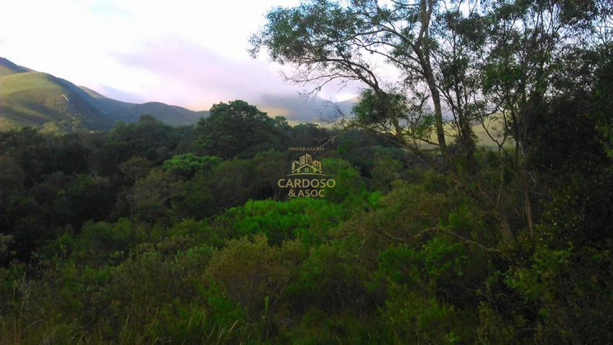 Campo Ref.93 - Se vende Campo Criador Turístico en Quebrada de los Cuervos. 