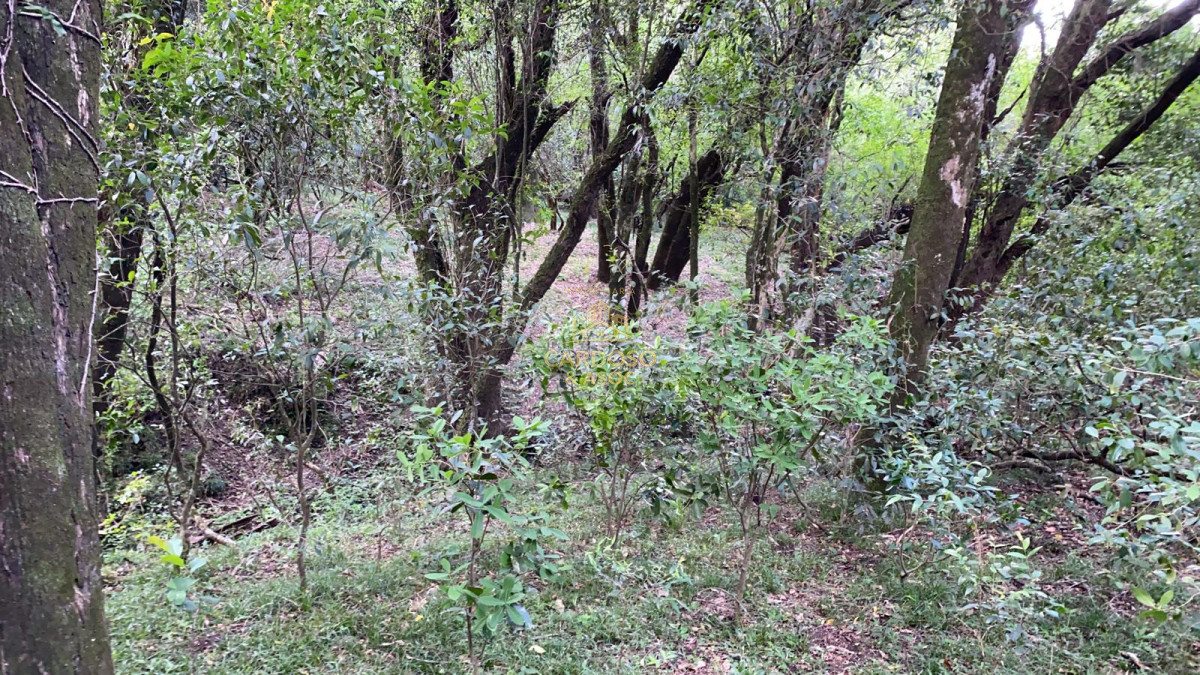Campo Ref.93 - Se vende Campo Criador Turístico en Quebrada de los Cuervos. 
