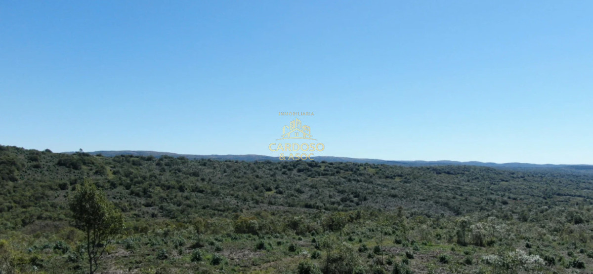 Campo Ref.183 - OPORTUNIDAD EN AIGUÁ 3100usd por hectárea.