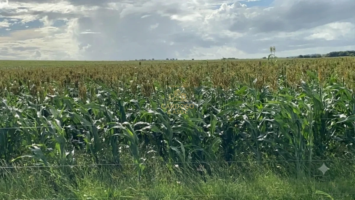 Campo Ref.148 - Campo agrícola ganadero 1000 hectáreas 