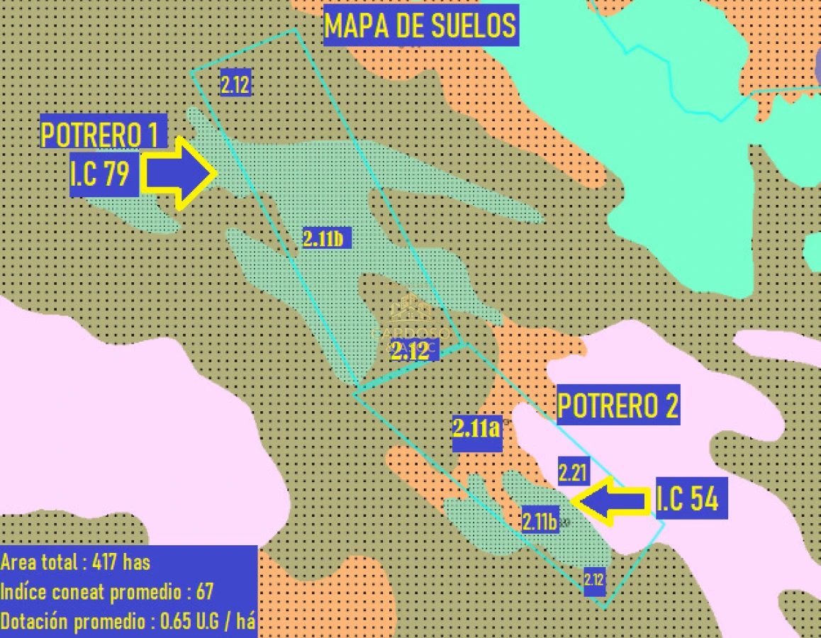 Campo Ref.136 - Campo Ganadero 420 Hectáreas - Treinta y Tres 