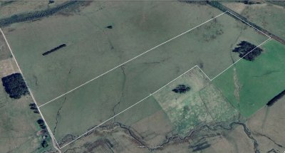 OPORTUNIDAD 35 hectáreas próximo a 33