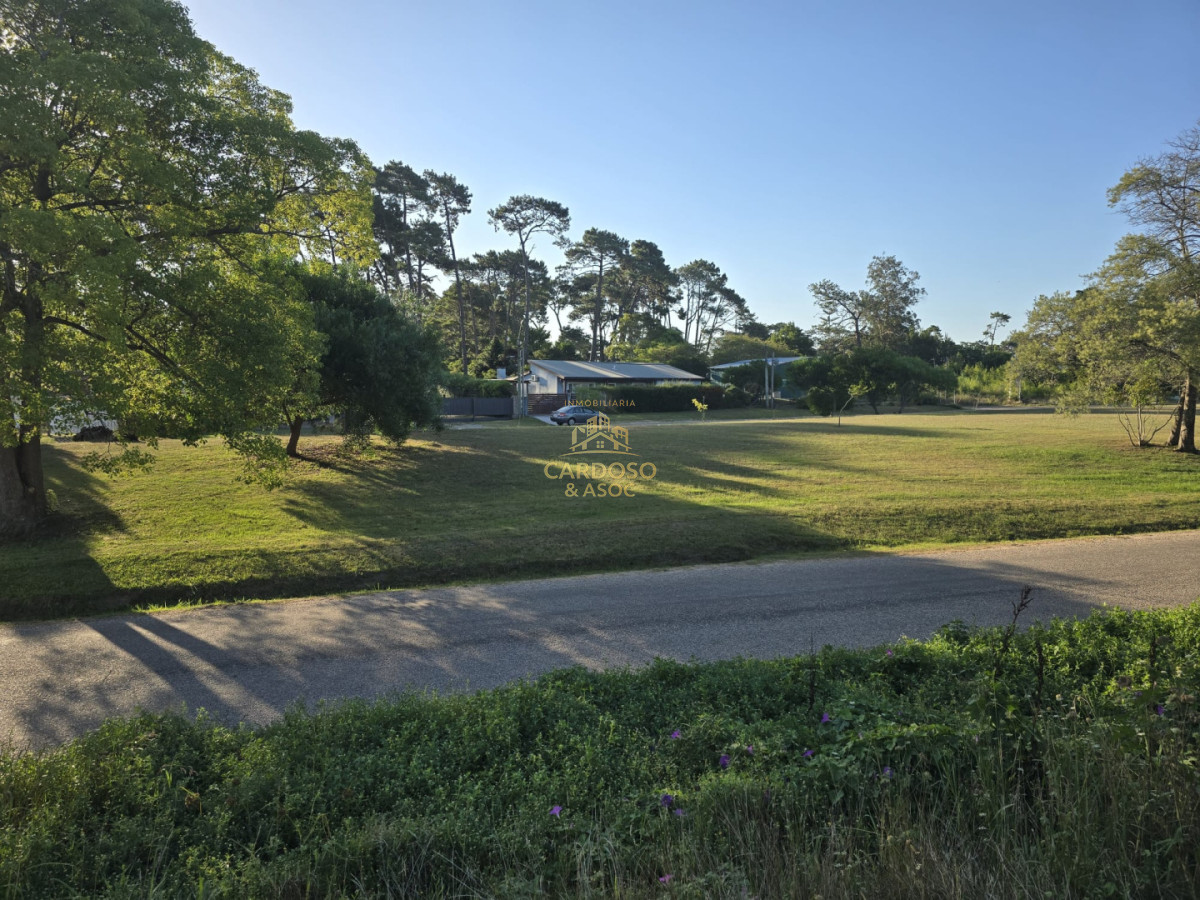 Apartamento ID.18 - 2 terrenos en altura contiguos de 1170 mts cada uno, 