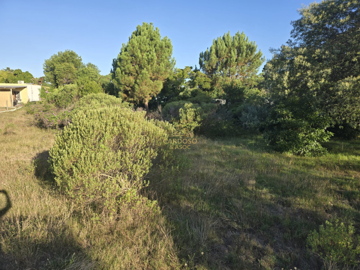 Apartamento ID.18 - 2 terrenos en altura contiguos de 1170 mts cada uno, 