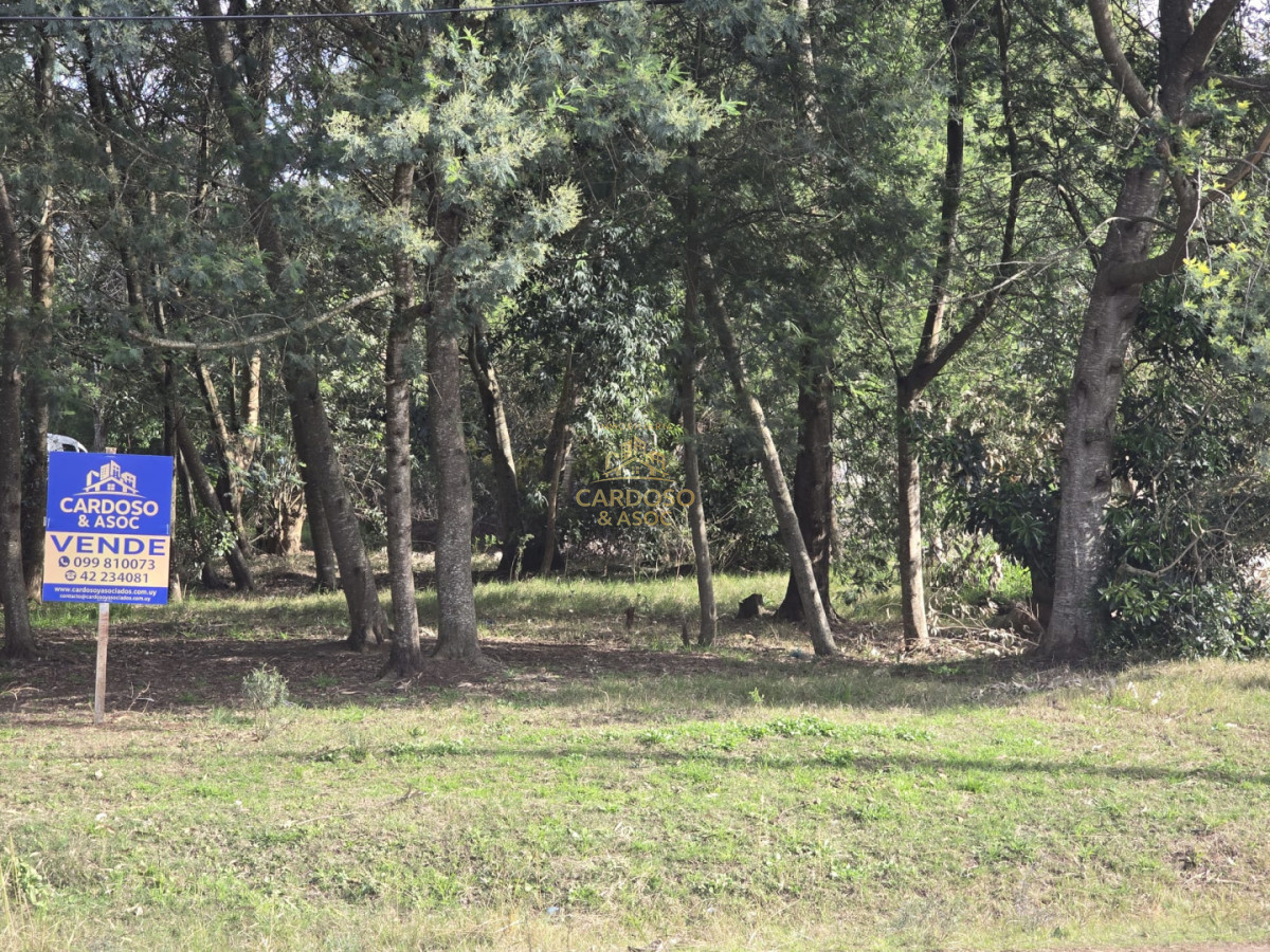 Terreno ID.1 - Terreno en La Capuera Av. del Lago