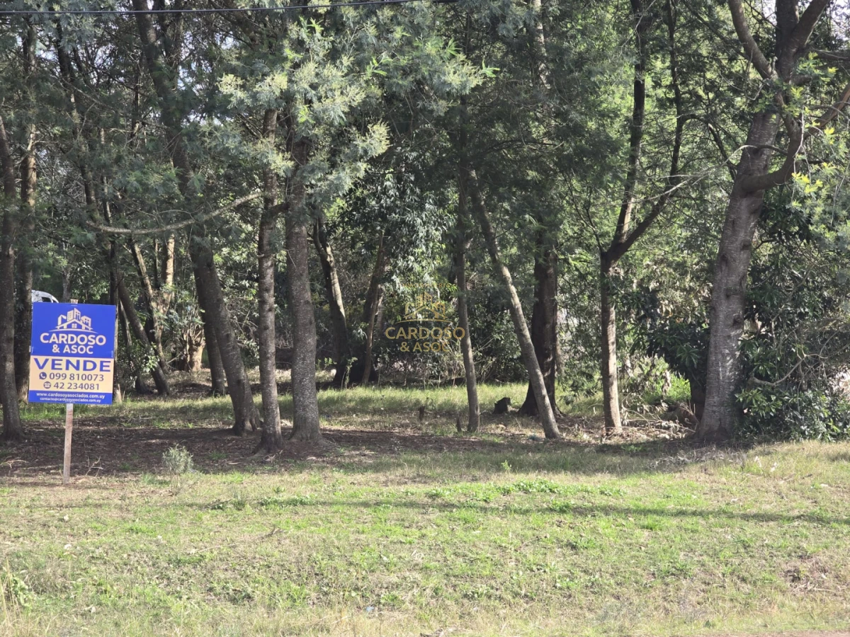 Terreno ID.1 - Terreno en La Capuera Av. del Lago