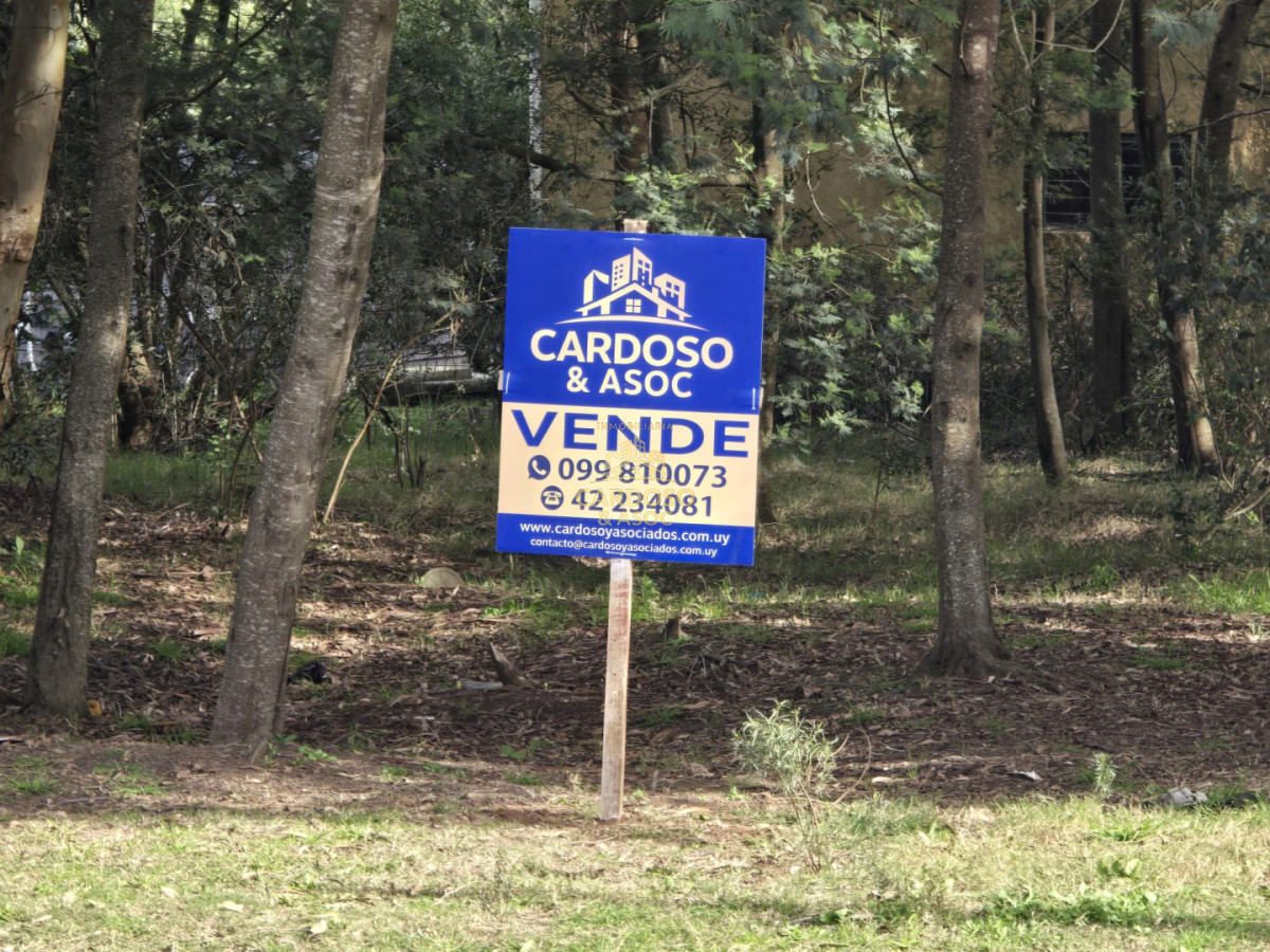 Terreno ID.1 - Terreno en La Capuera Av. del Lago