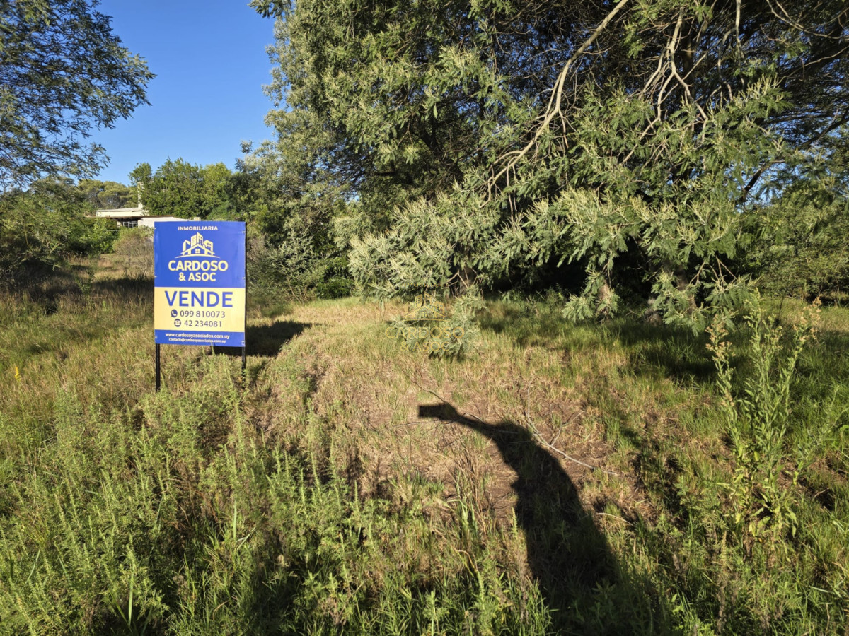 Apartamento ID.18 - 2 terrenos en altura contiguos de 1170 mts cada uno, 