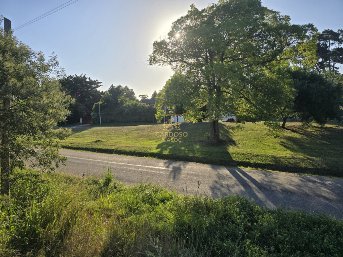 Apartamento ID.18 - 2 terrenos en altura contiguos de 1170 mts cada uno, 