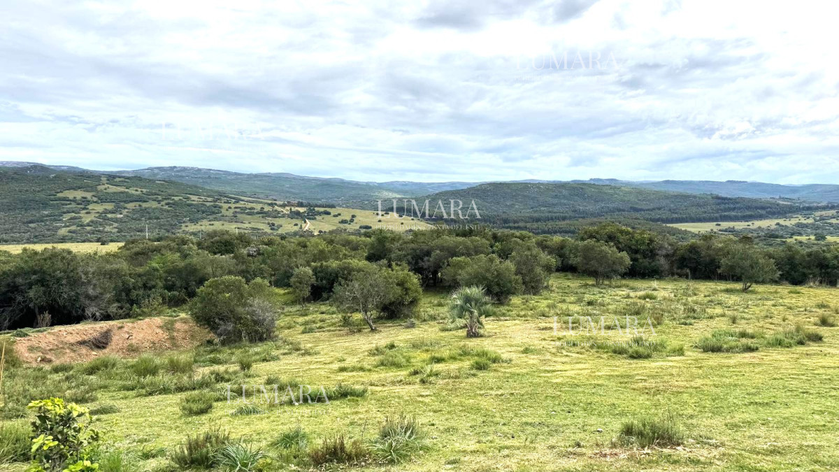 Chacra ID.3074 - VENTA Chacra 2 hectáreas  Camino Paso a la Cantera, San Carlos, Maldonado