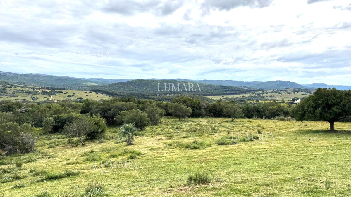 Chacra ID.3074 - VENTA Chacra 2 hectáreas  Camino Paso a la Cantera, San Carlos, Maldonado