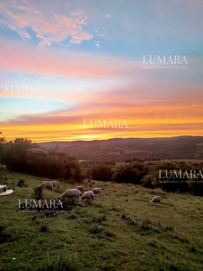 Chacra ID.3074 - VENTA Chacra 2 hectáreas  Camino Paso a la Cantera, San Carlos, Maldonado