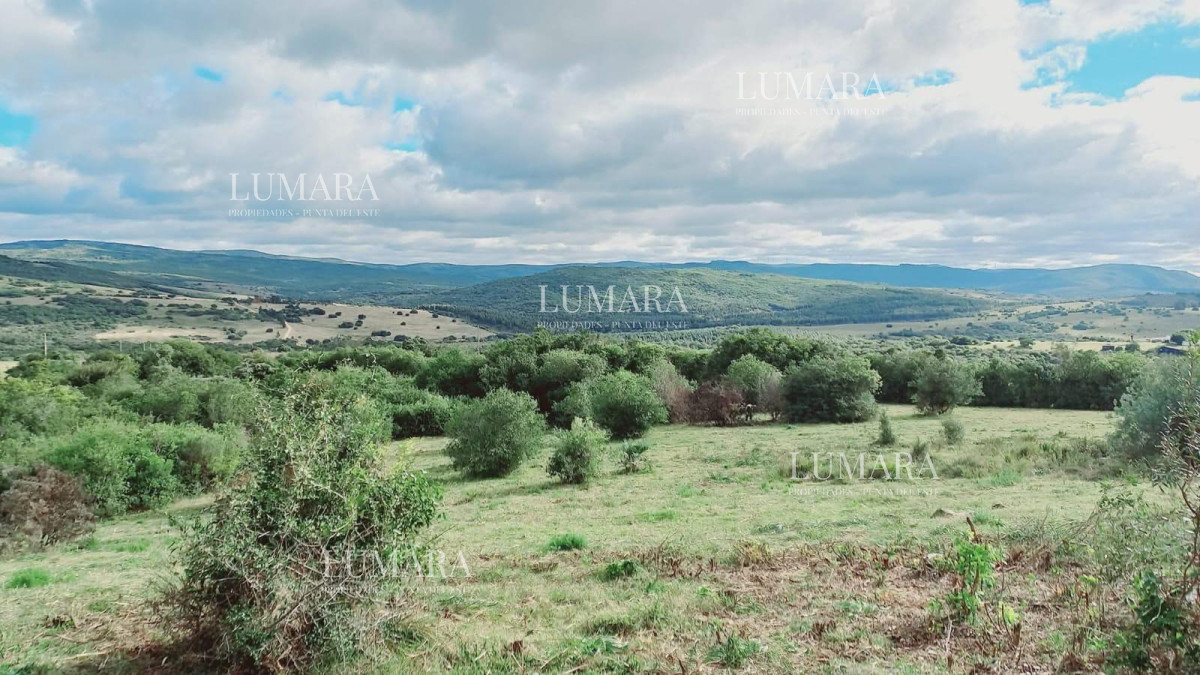 Chacra ID.3074 - VENTA Chacra 2 hectáreas  Camino Paso a la Cantera, San Carlos, Maldonado