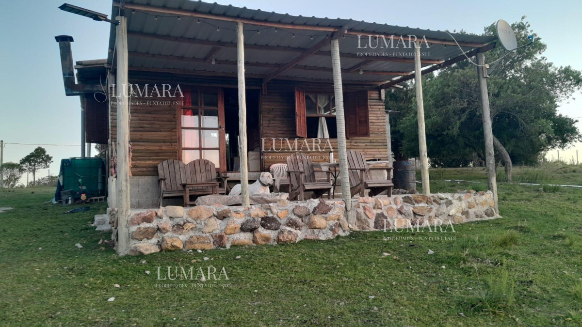 Chacra ID.3074 - VENTA Chacra 2 hectáreas  Camino Paso a la Cantera, San Carlos, Maldonado
