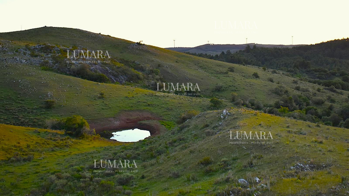 Chacra ID.3075 - Chacra 5 ha en Lavalleja con casa moderna y tajamar a 15 min de Minas