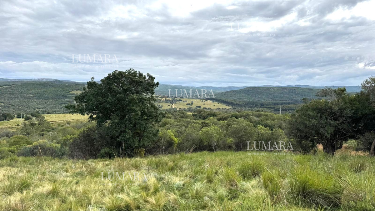 Chacra ID.3074 - VENTA Chacra 2 hectáreas  Camino Paso a la Cantera, San Carlos, Maldonado