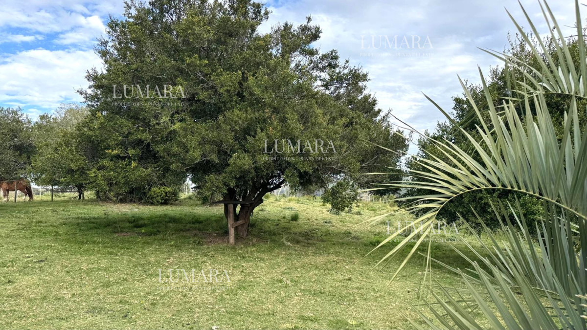 Chacra ID.3074 - VENTA Chacra 2 hectáreas  Camino Paso a la Cantera, San Carlos, Maldonado
