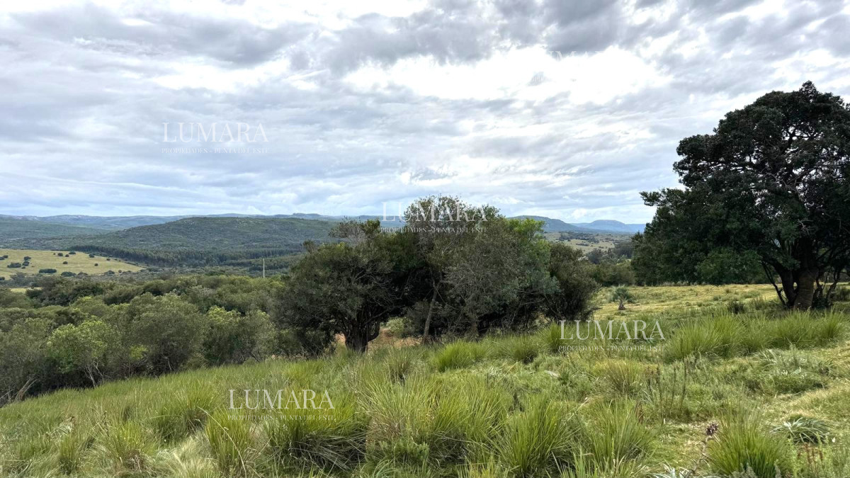 Chacra ID.3074 - VENTA Chacra 2 hectáreas  Camino Paso a la Cantera, San Carlos, Maldonado