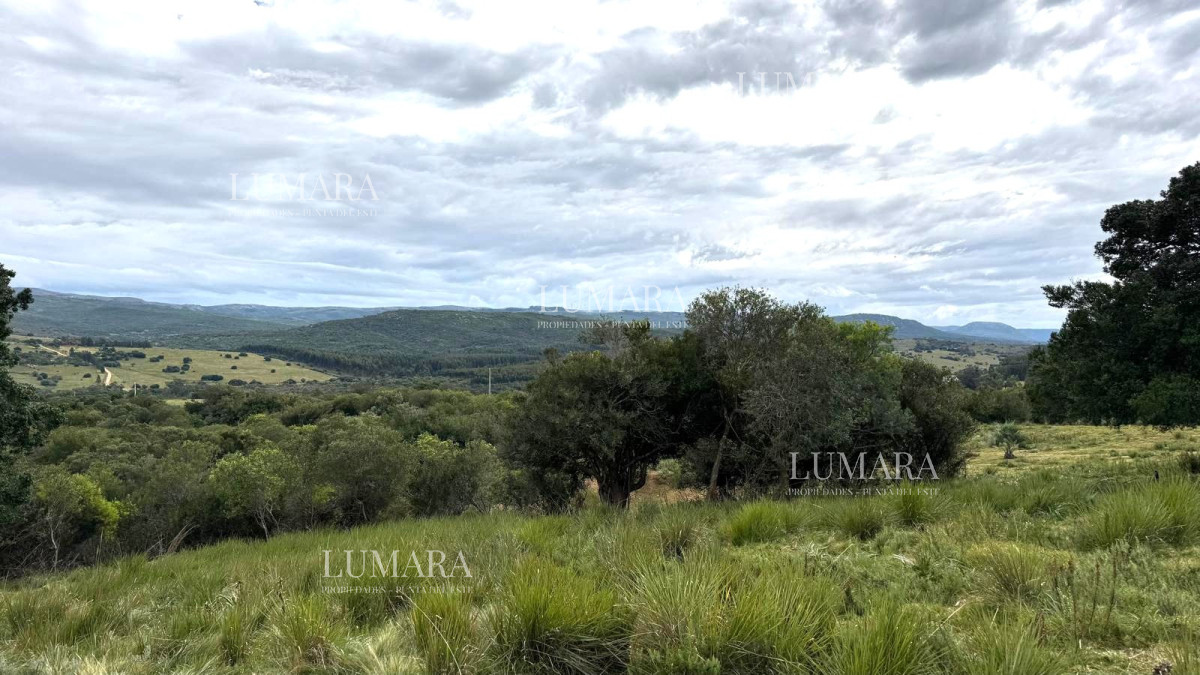 Chacra ID.3074 - VENTA Chacra 2 hectáreas  Camino Paso a la Cantera, San Carlos, Maldonado