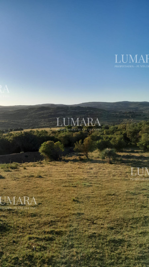 Chacra ID.3074 - VENTA Chacra 2 hectáreas  Camino Paso a la Cantera, San Carlos, Maldonado