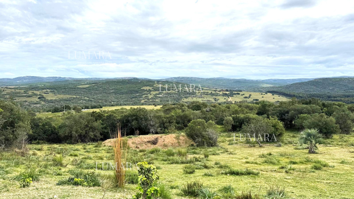 Chacra ID.3074 - VENTA Chacra 2 hectáreas  Camino Paso a la Cantera, San Carlos, Maldonado