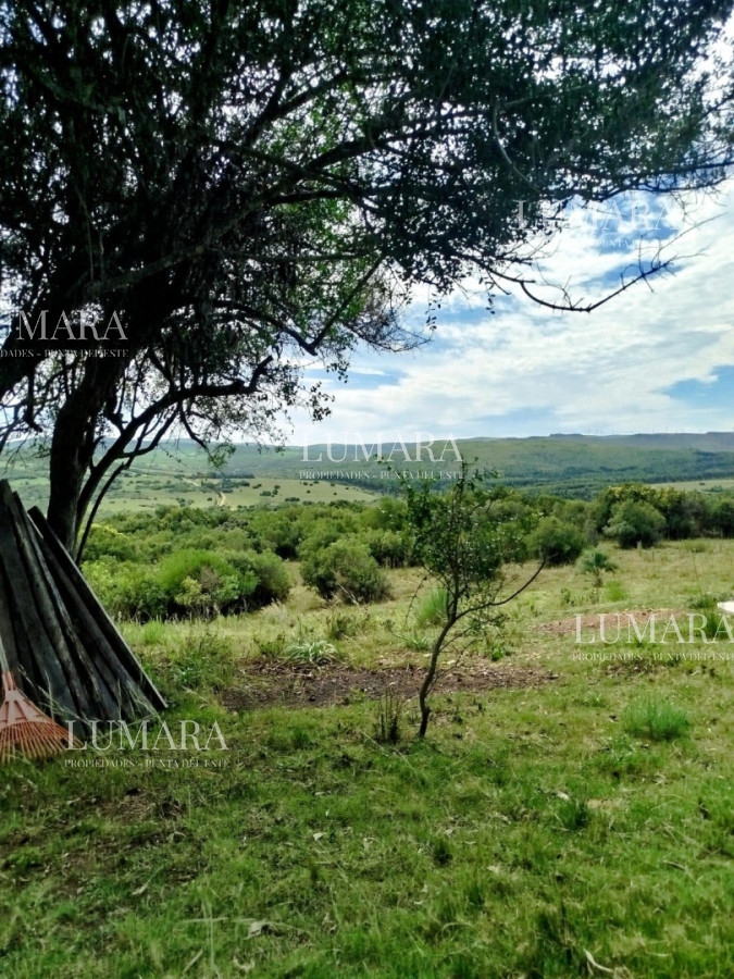 Chacra ID.3074 - VENTA Chacra 2 hectáreas  Camino Paso a la Cantera, San Carlos, Maldonado