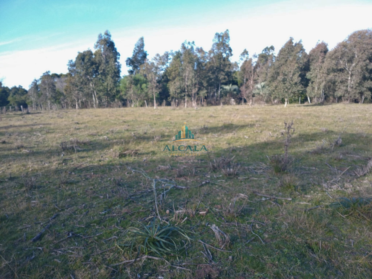 Chacra ID.5 - Chacra 12 ha sobre Ruta 13. A 5 min de Aiguá