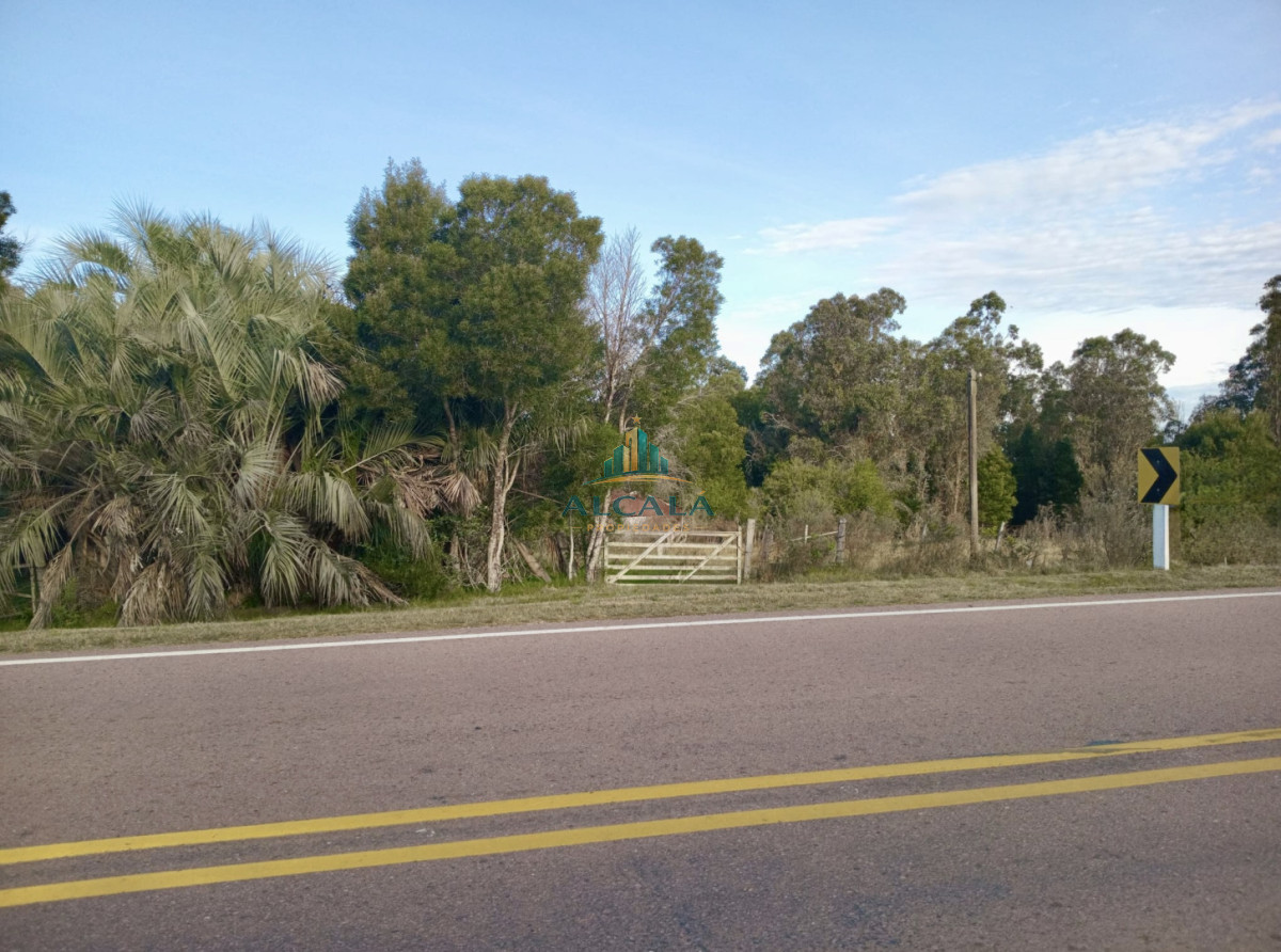 Chacra ID.5 - Chacra 12 ha sobre Ruta 13. A 5 min de Aiguá