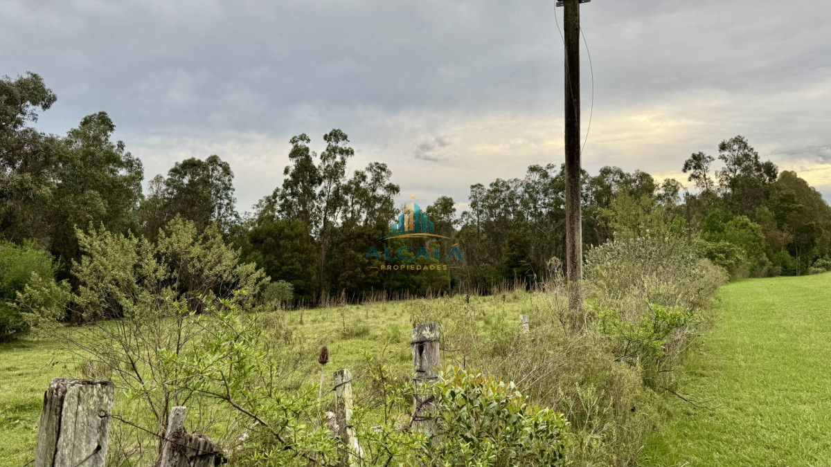 Chacra ID.5 - Chacra 12 ha sobre Ruta 13. A 5 min de Aiguá