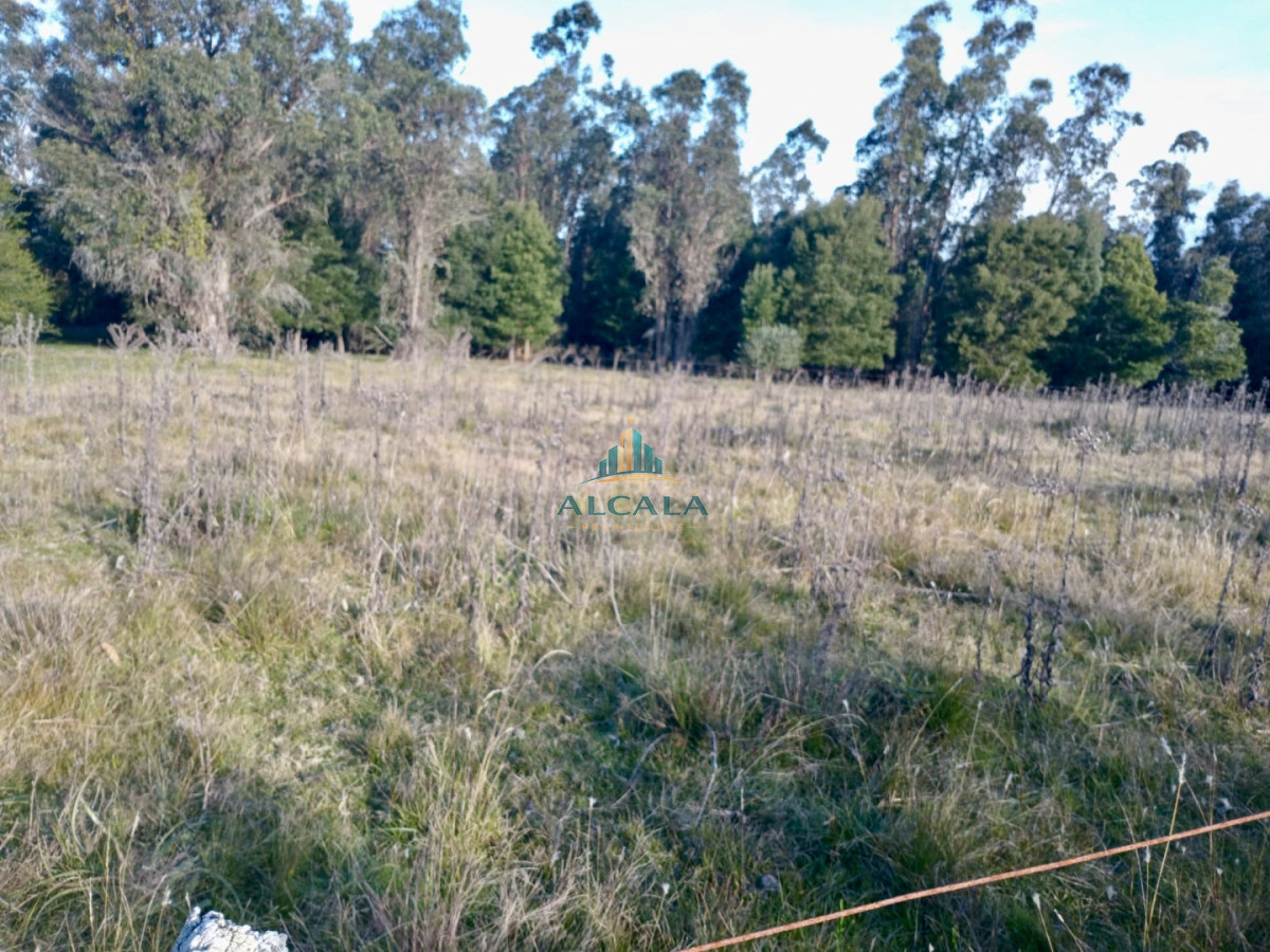 Chacra ID.5 - Chacra 12 ha sobre Ruta 13. A 5 min de Aiguá