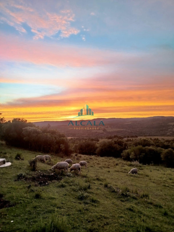 Chacra ID.2 - VENTA Chacra 2 hectáreas  Camino Paso a la Cantera, San Carlos, Maldonado