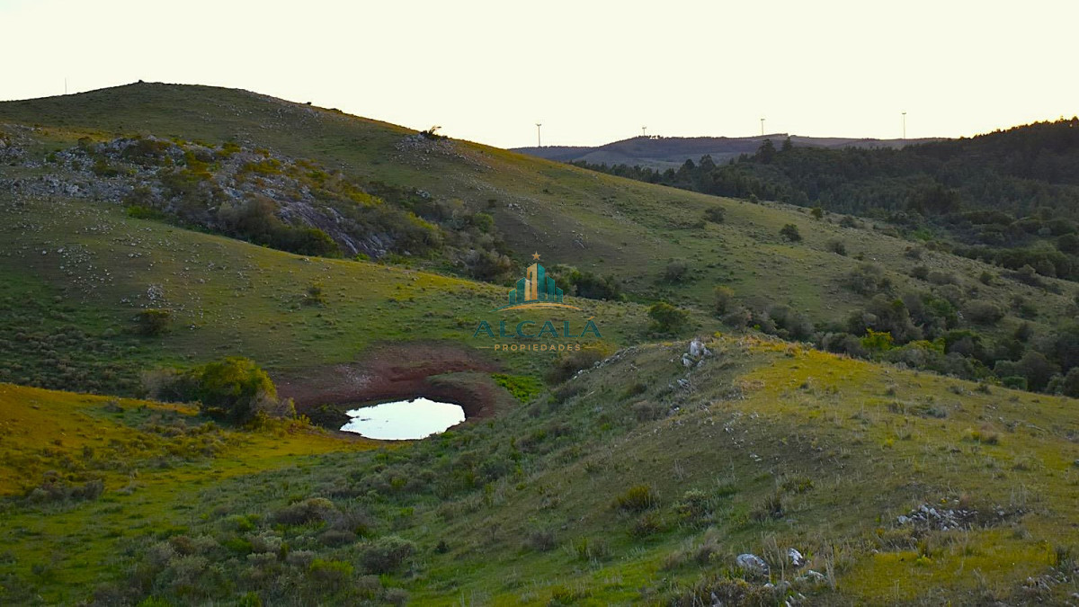 Chacra ID.1 - Chacra 5 ha en Lavalleja con casa moderna y tajamar a 15 min de Minas